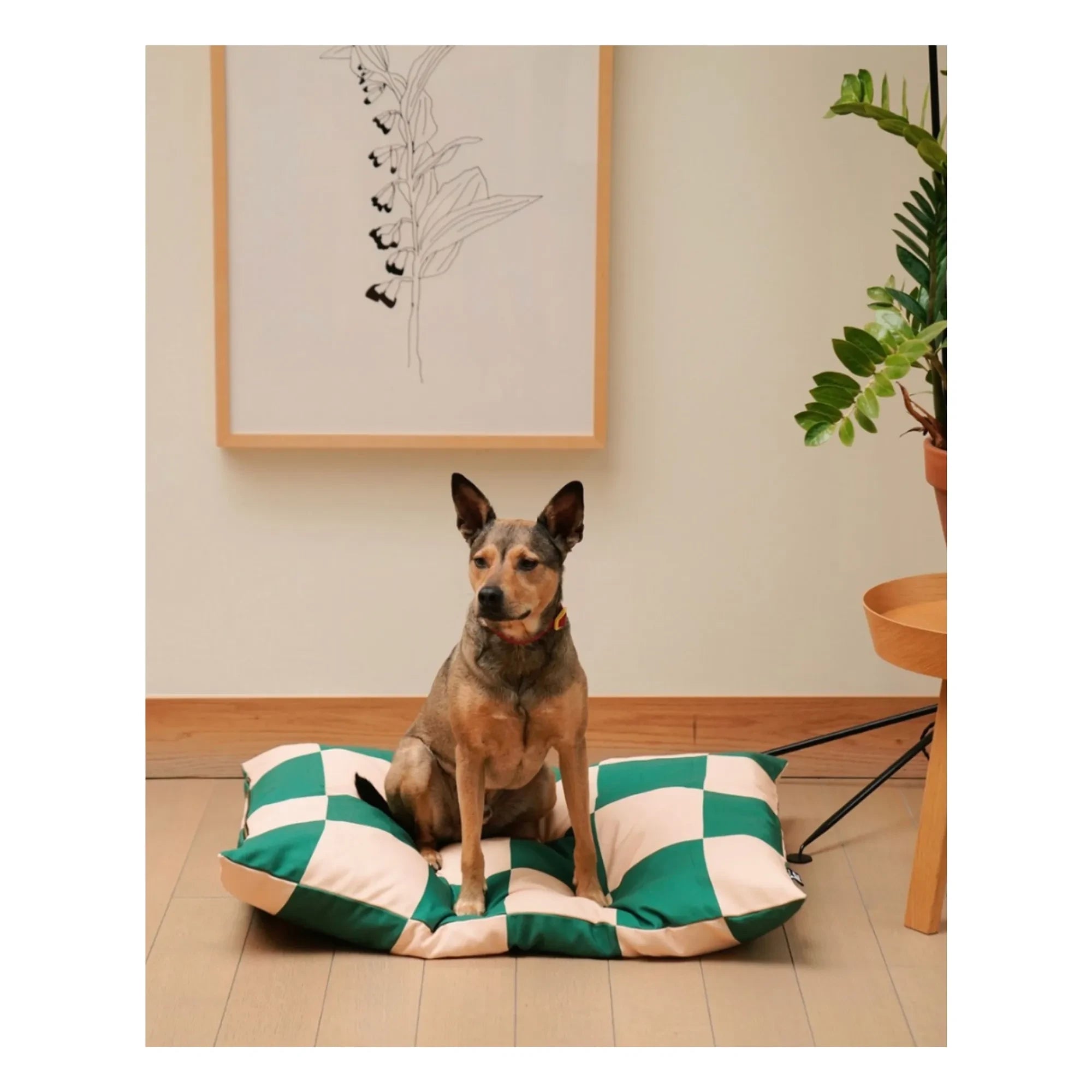 Approved by Fritz - Damalı köpek yatağı | Yeşil