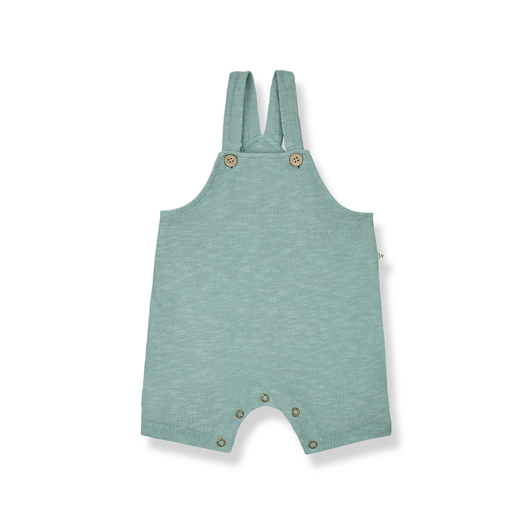 1+ in the family Rocco Overalls - Shark-Dungarees-Shark-6m | Natural Baby Shower