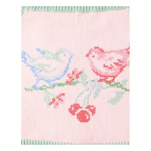 Gingersnaps - Blassrosa | Besticktes Rosenspitzen-Crop-Top