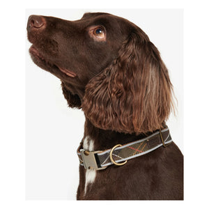 Barbour - Tartan Reflective Dog Collar | Dark Brown