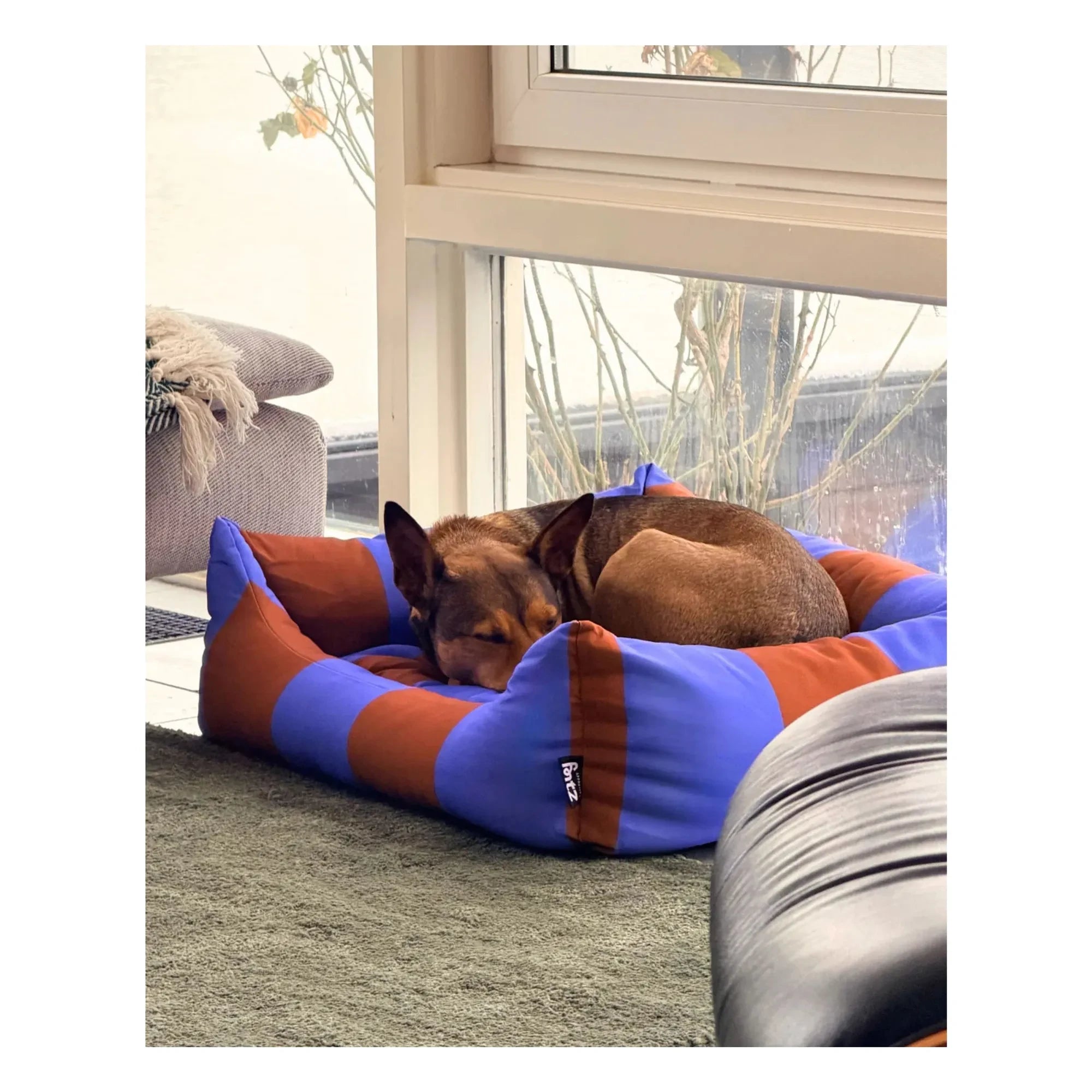 Approved by Fritz - Striped Dog Bed | Purple