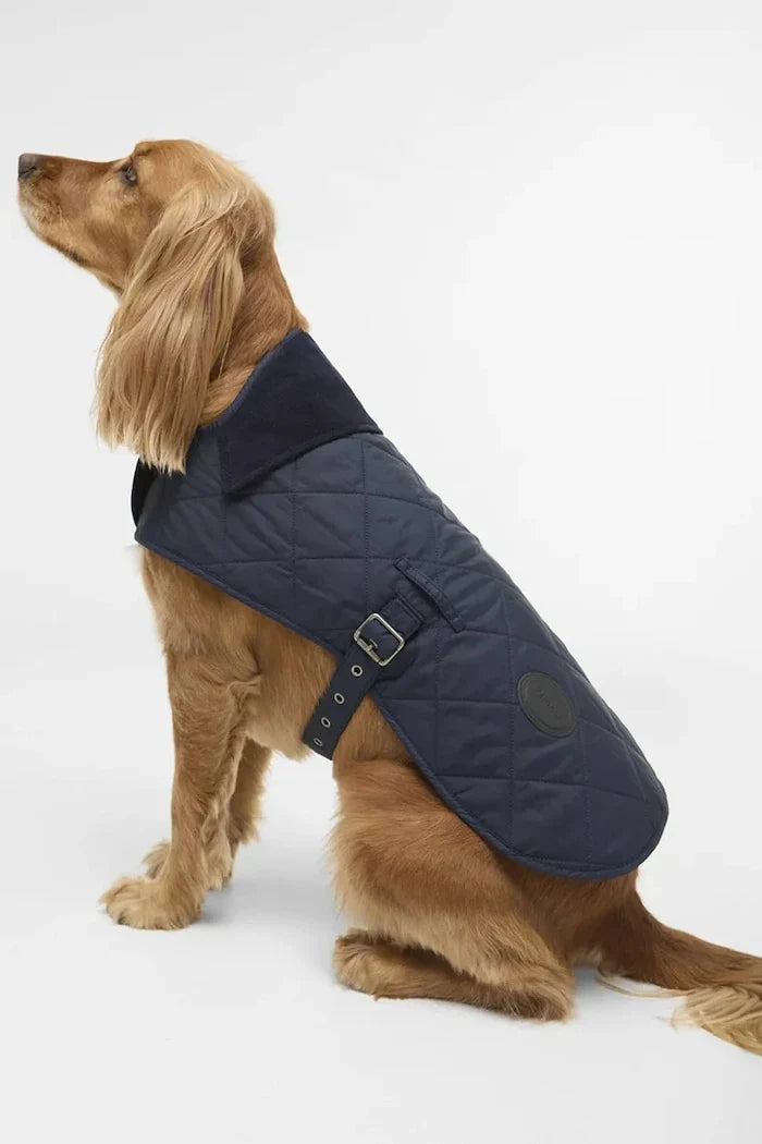 Barbour Köpek Montu