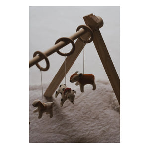 Quax - Köpek kemeri oyuncak seti