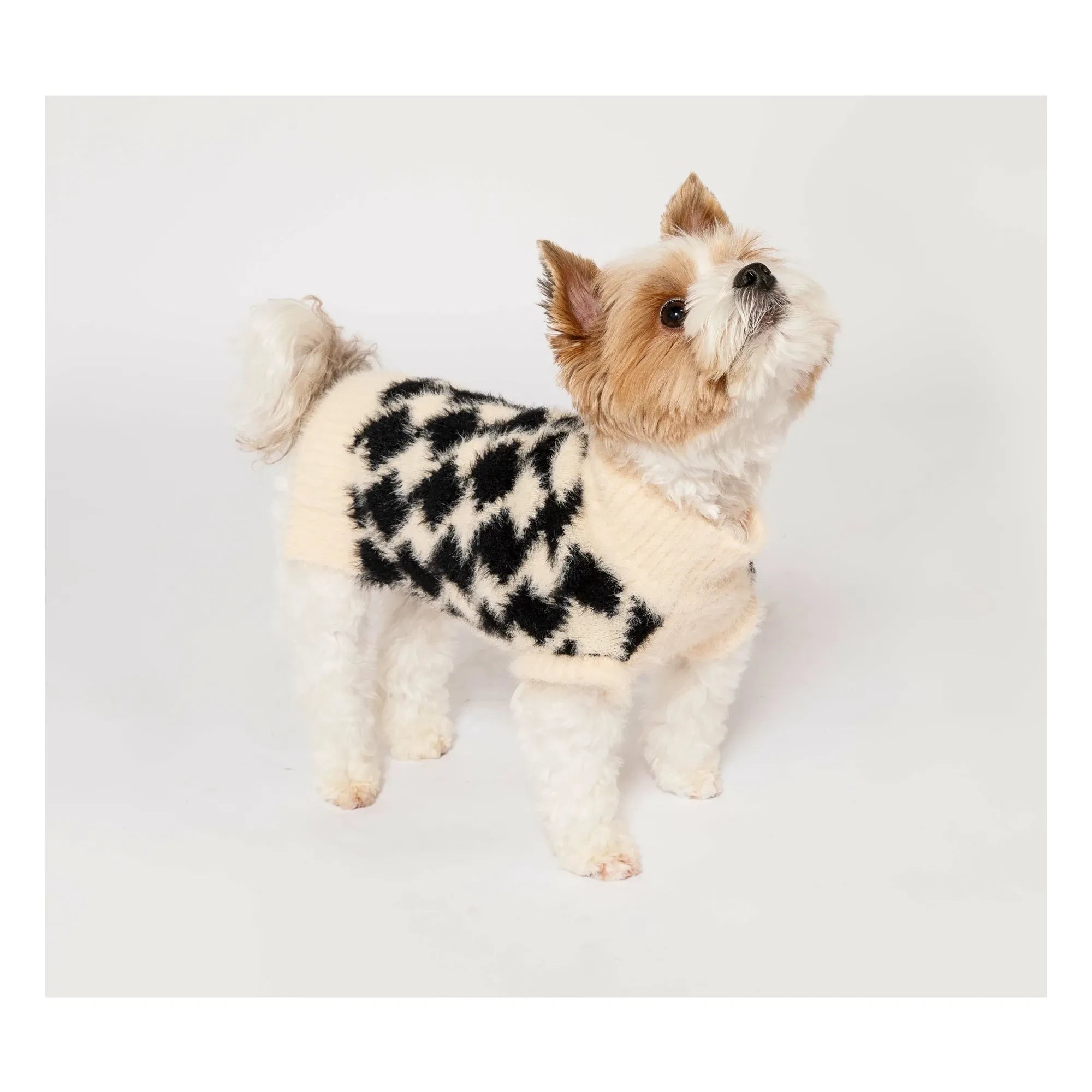 The Furry Folks - Pixmond Pullover | Schwarz