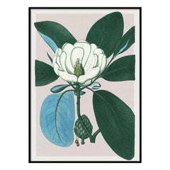 The Dybdahl Co. - Magnolia Glauca Poster