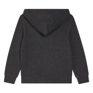 Ralph Lauren – Kapuzenpullover mit Logo | Dunkelgrau