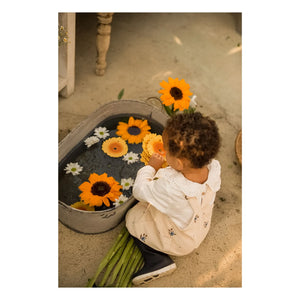 Oli & Carol - Sun the sunflower Beißring