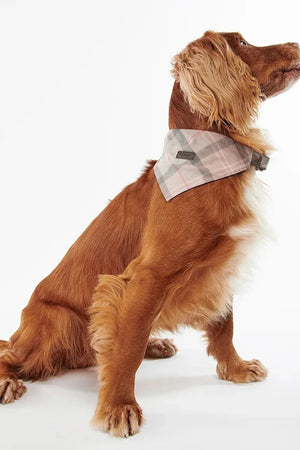Barbour Tartan Köpek Bandanası