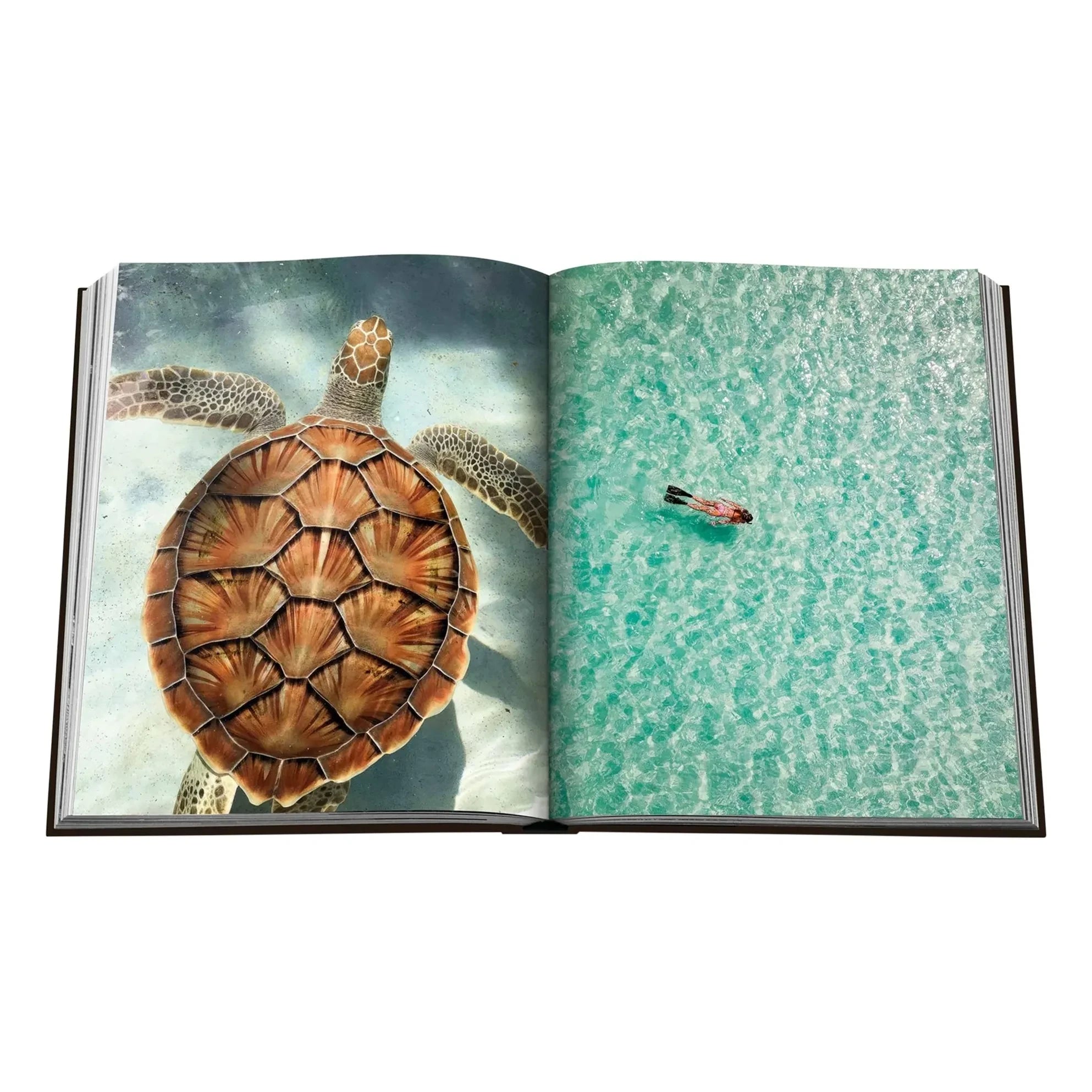 Assouline - Jamaica Havası