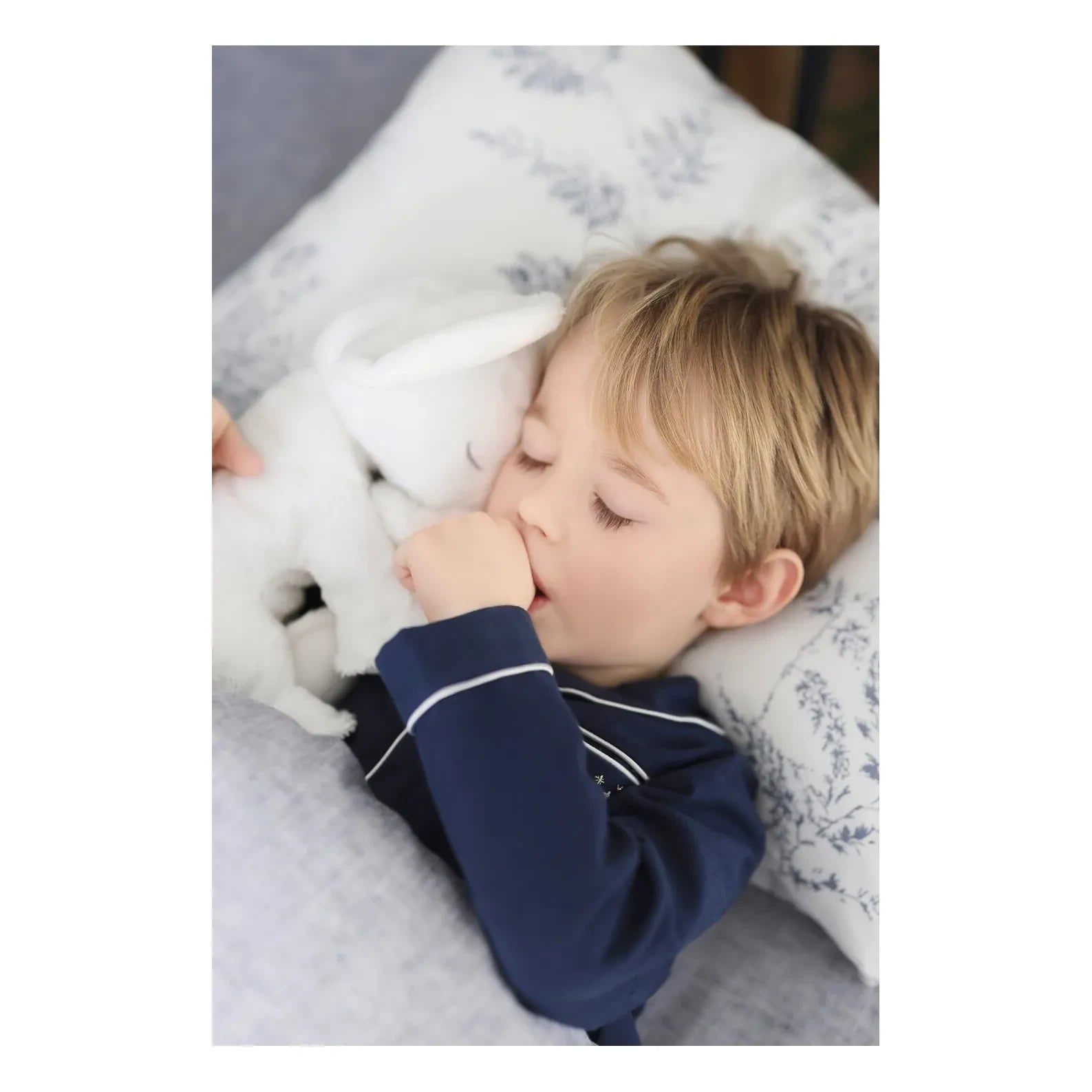 Tartine et Chocolat - Sleeping Elephant | Ecru