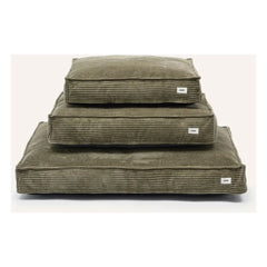 Cafide - Cuadra Velvet Dog Bed | Green