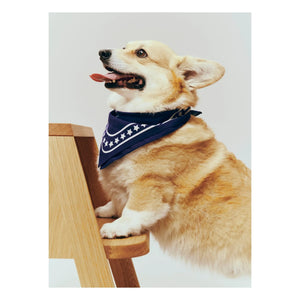 Hay - Dog bandana | Blue
