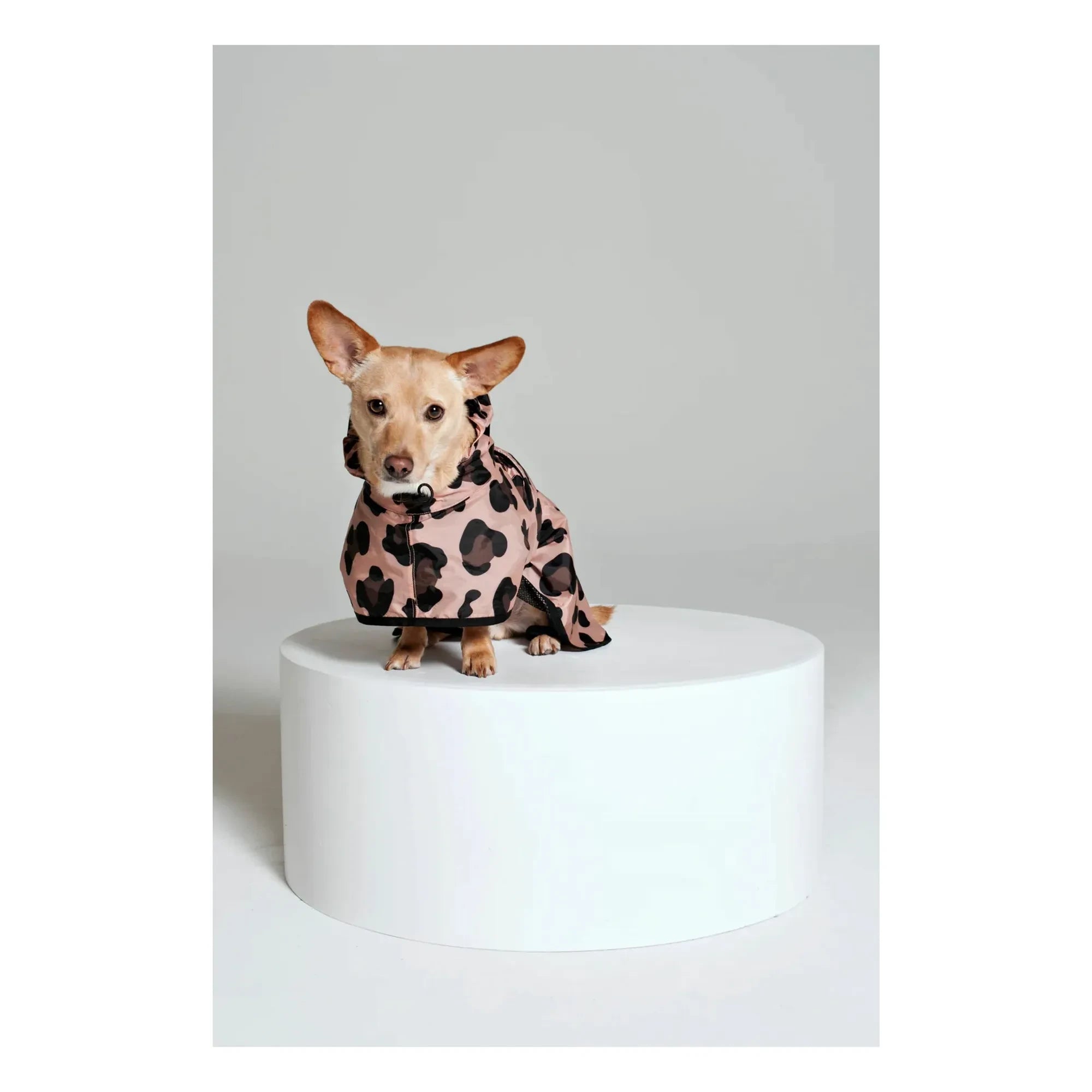 Rainkiss - Pink Panther Wasserdichter Hundemantel | Rosa