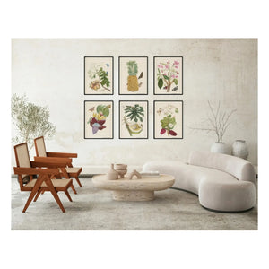 Les Jolies Planches - Plakat Indischer Jasmin