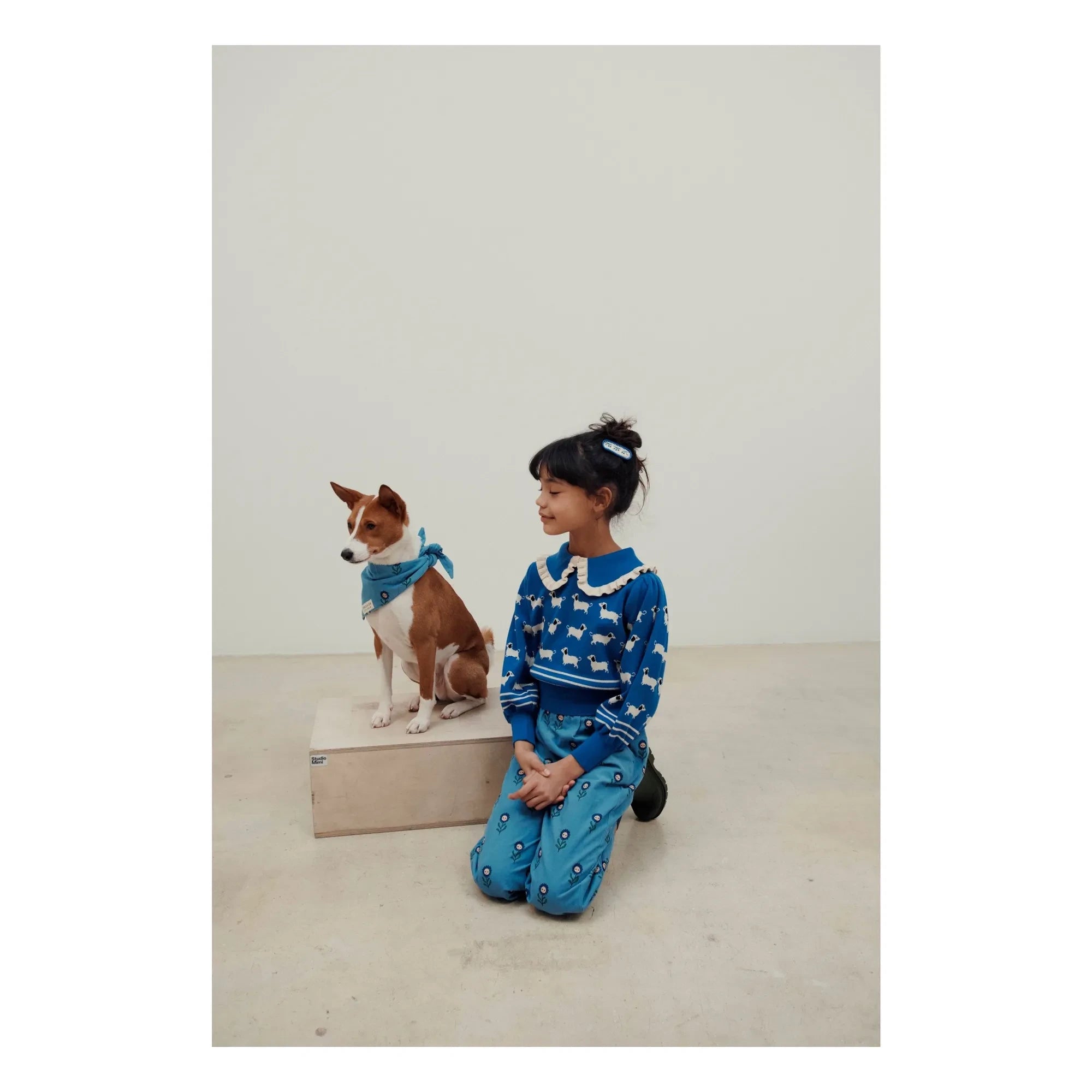Emile et Ida – Königlicher blauer Hundepullover