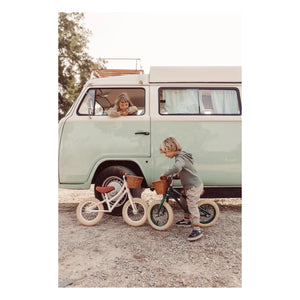 Banwood - Go First Push Bike 12" | Rosa