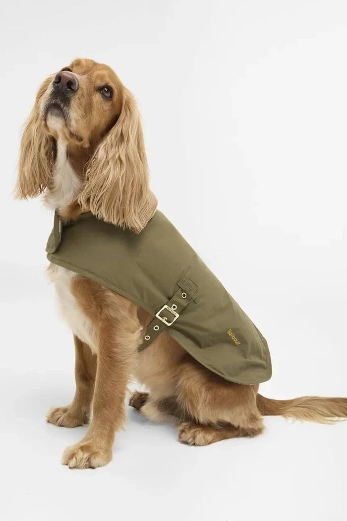 Barbour Transport Köpek Montu
