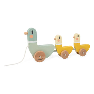 Janod - Shooting Duck Game