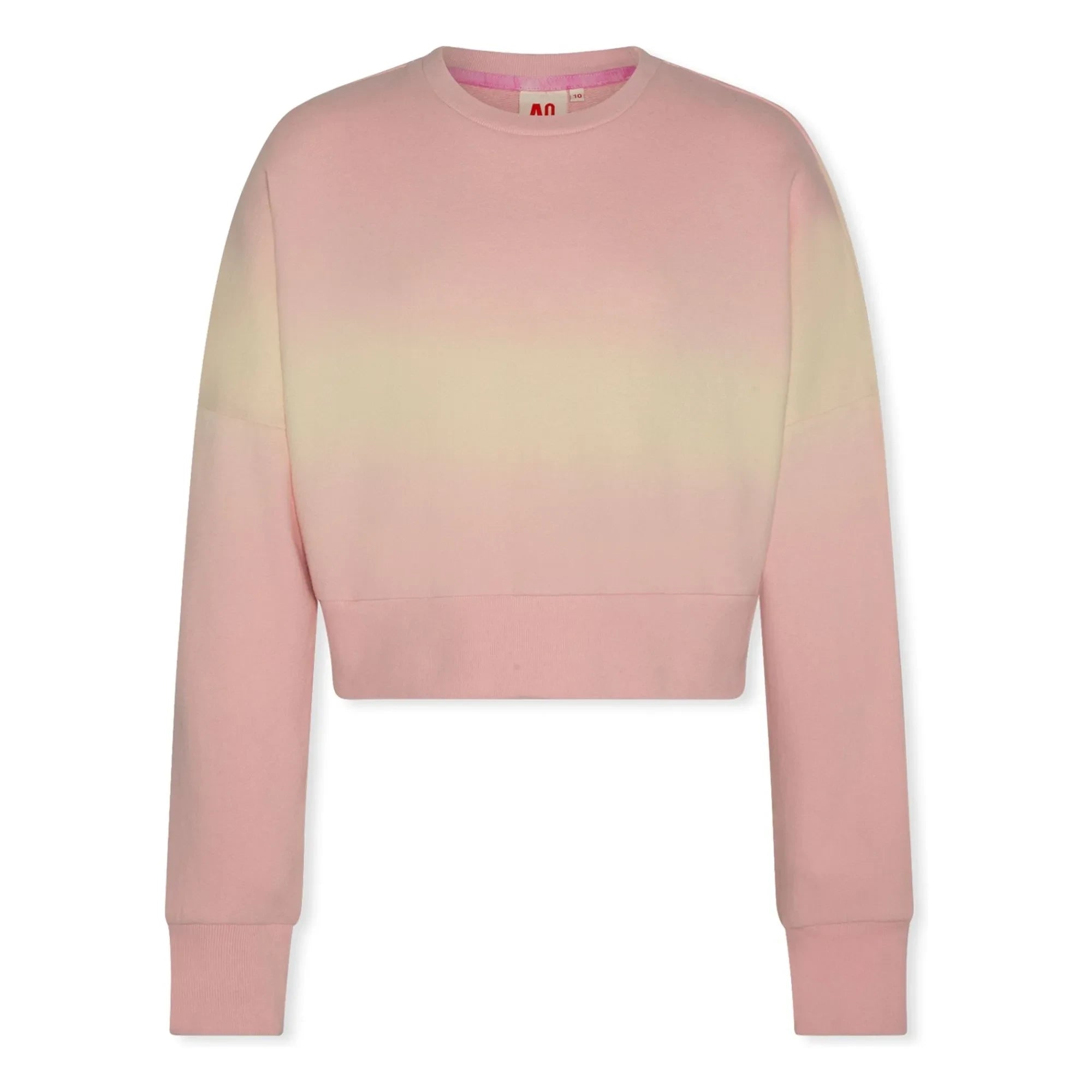 AO76 - Abby Dip Dye Geri Dönüştürülmüş Pamuklu Sweatshirt | Açık Pembe