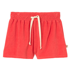 Cozmo - Short Root Sponge | Red