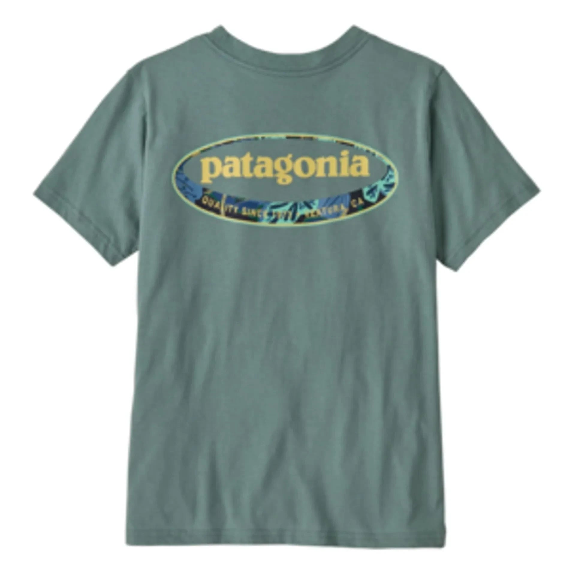 Patagonia - Tişört Grafik 95 Oval Logo Organik pamuk | Gri mavi