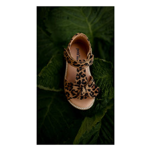 Petit Nord - Leopar Fiyonklu Sandalet | Kahverengi