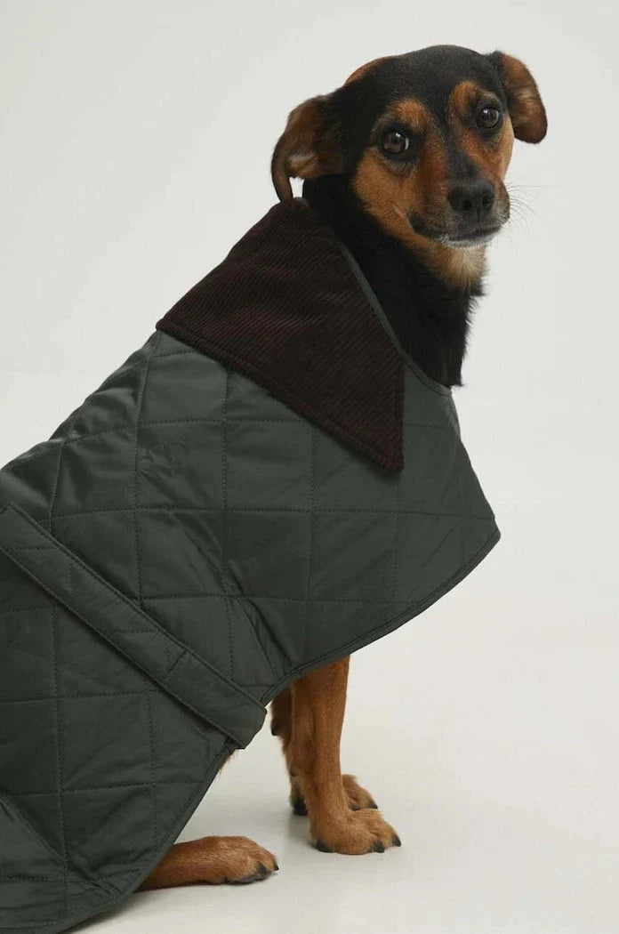 Barbour Köpek Montu