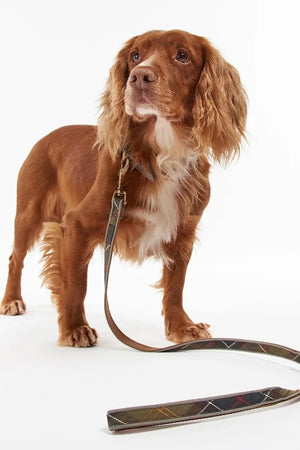 Barbour Reflective Tartan Dog 100 cm Köpek Tasması