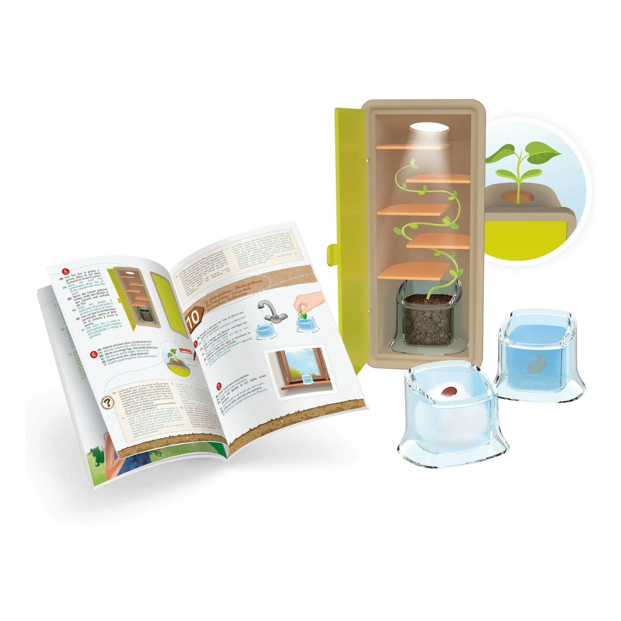 Buki - Kleiner Spross Set