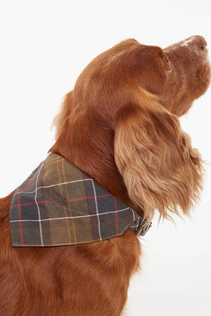 Barbour Tartan Köpek Bandanası