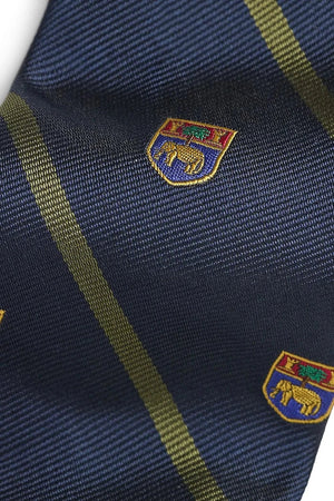 Polo Ralph Lauren erkek ipek kravat