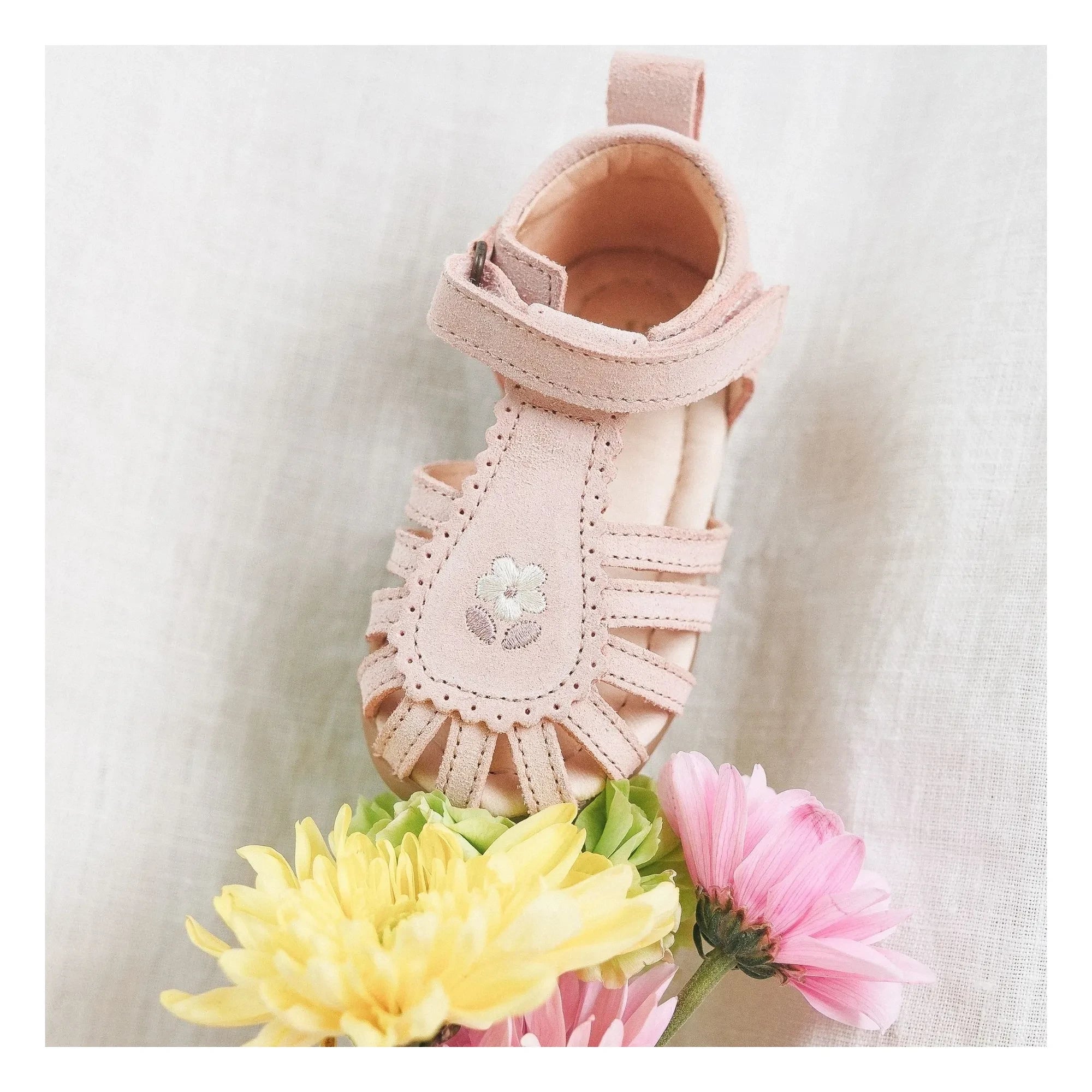 Lazare - Colette Fleur Süet Nakışlı Sandaletler | Pudra pembe