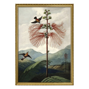 The Dybdahl Co. - Der Blumenbaum-Poster