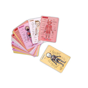 Janod - Magnetisches Anatomie-Puzzle
