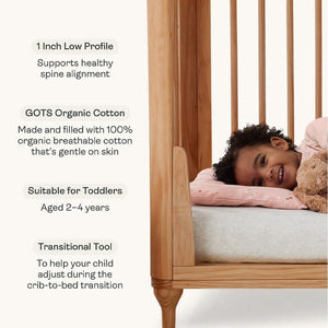 ergoPouch - Organic Toddler Pillow & Case - 0.3 TOG - Dragonflies-Bedding Sets-Dragonflies-Toddler | Natural Baby Shower