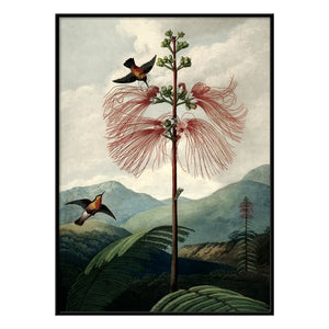 The Dybdahl Co. - Der Blumenbaum-Poster