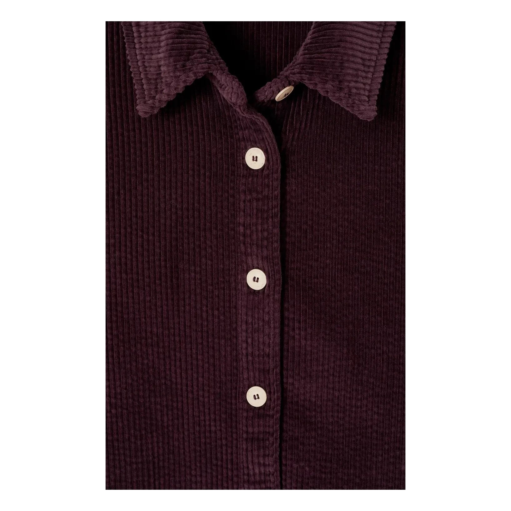 American Vintage - Padow Pamuk Gömlek | Aubergine