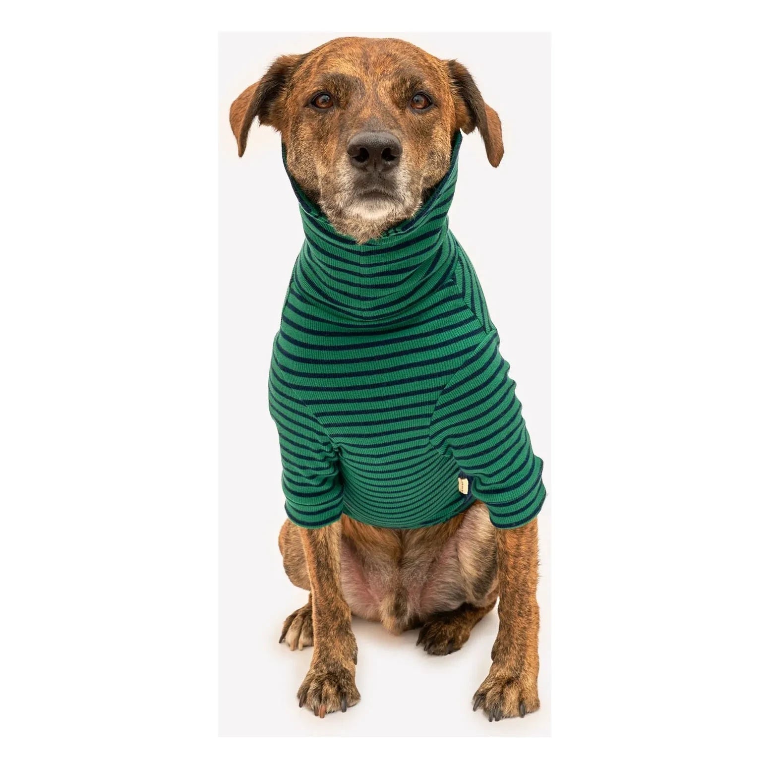 The Furry Folks - Gestreifter Pullover | Grün