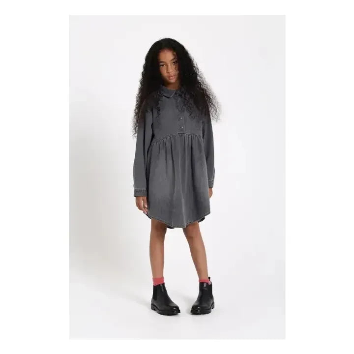 Finger in the nose - Darlin Denim Elbise | Denim gri