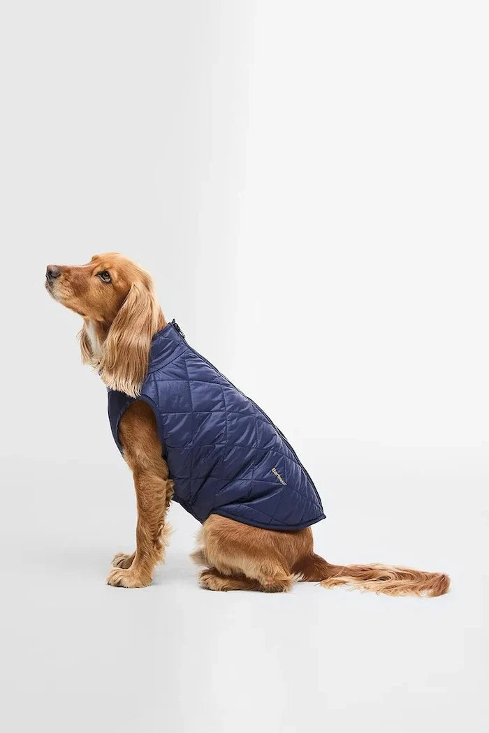 Barbour Field Çift Taraflı Köpek Montu