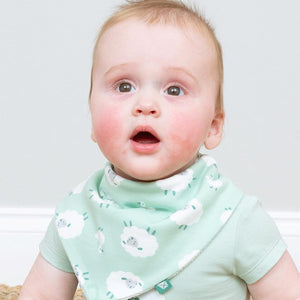 Kite Dribble Bib - Baa Baa Quack-Bibs-Baa Baa Quack-One Size | Natural Baby Shower