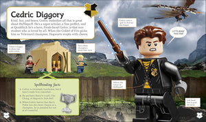 Lego - LEGO Harry Potter Hogwarts Evleri Figür Oyuncaklı Figürlü İngilizce Aktivite ve Hikaye Kitabı