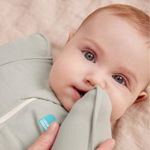 Love to Dream Swaddle Up Transition Bag (2.5 Tog) - Bees Olive-Sleeping Bags-Bees Olive-M | Natural Baby Shower