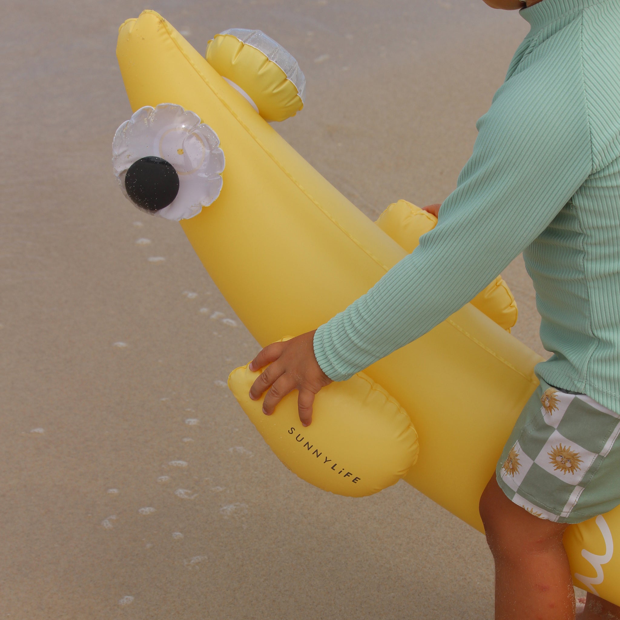 Sunnylife - Balık Finn Şişme Deniz ve Havuz Yüzme Aksesuarı