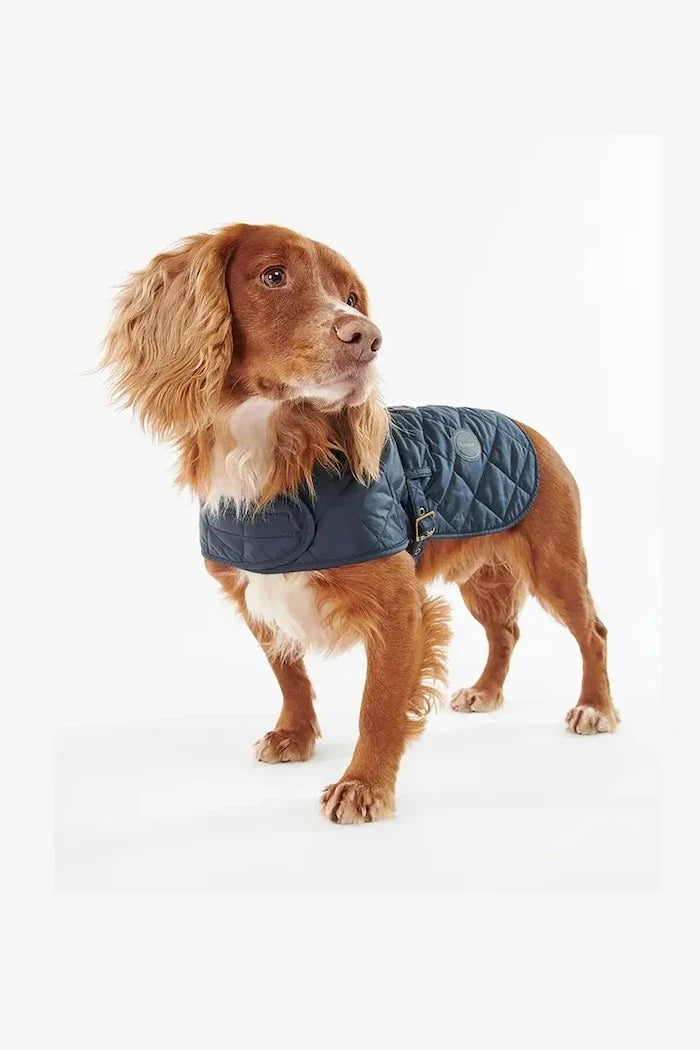 Barbour Köpek Montu