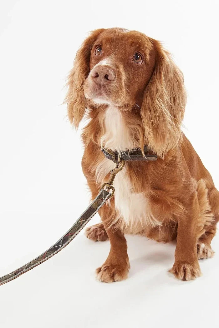 Barbour Reflective Tartan Dog 100 cm Köpek Tasması