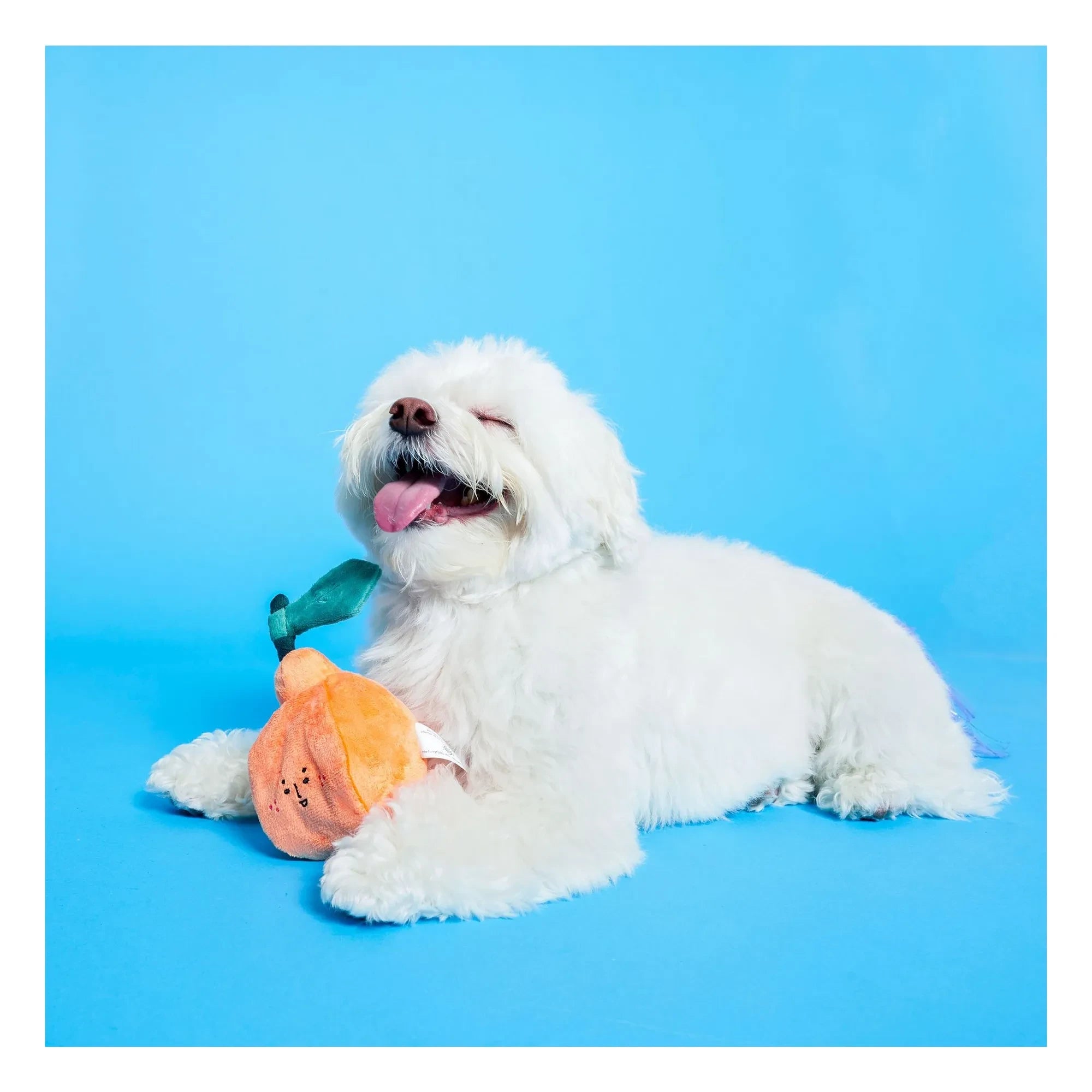The Furry Folks - Orange Spitzhacke Spielzeug | Orange