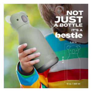 Asobu – Koala-Edelstahl-Wasserflasche | Grau