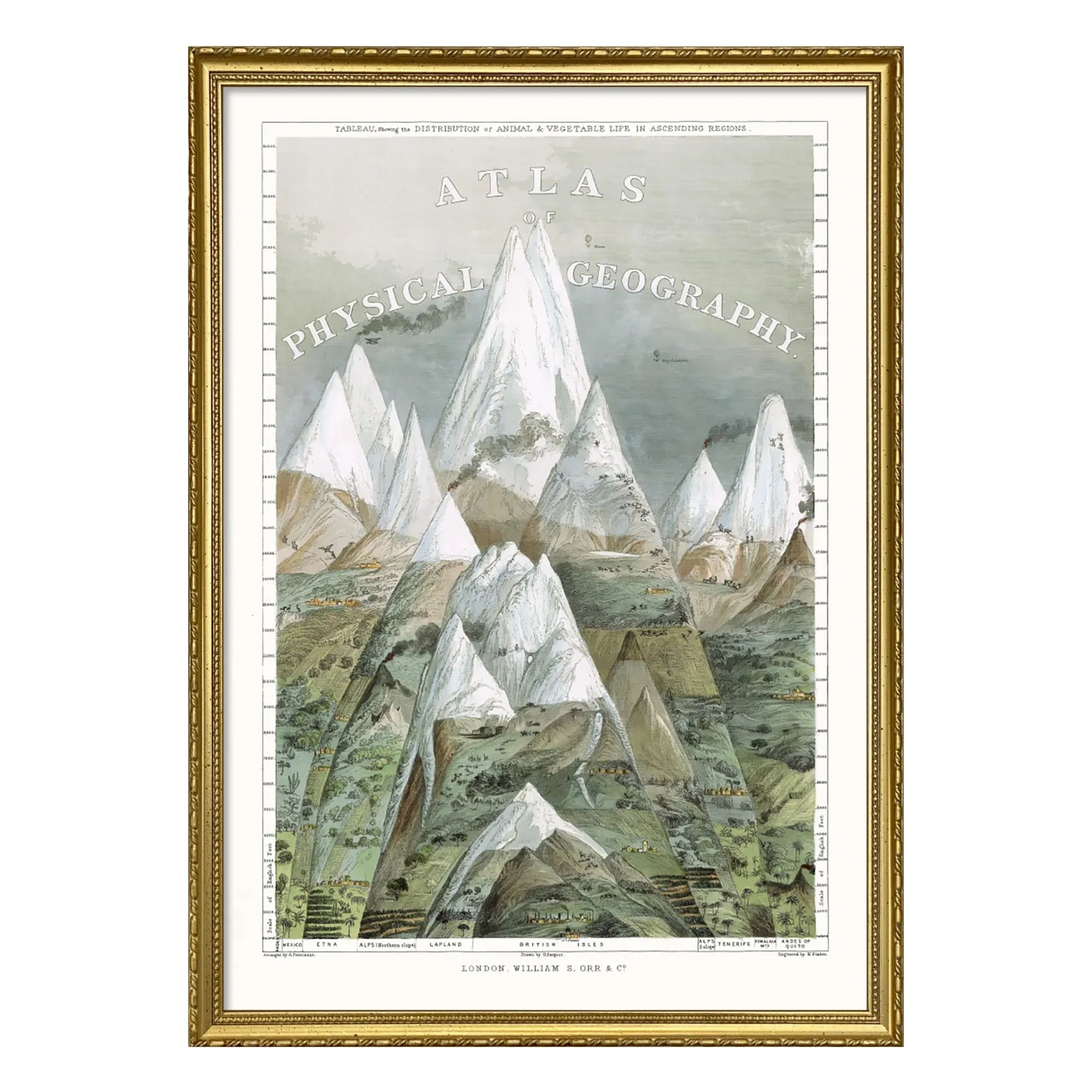 The Dybdahl Co. - Atlas Fiziksel Coğrafya posteri