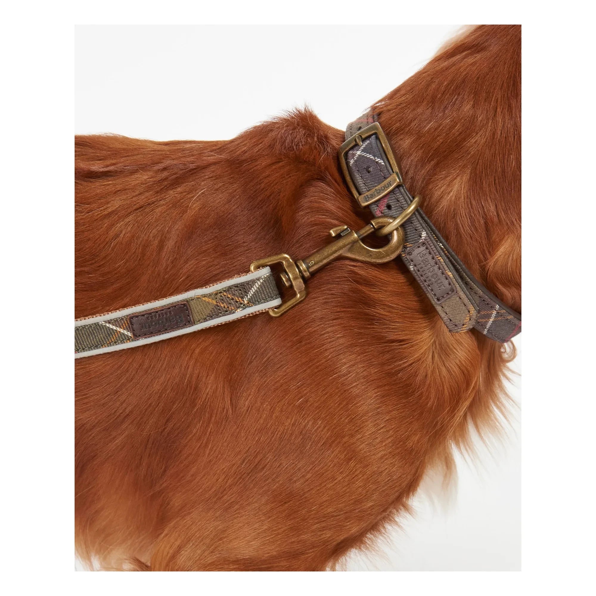 Barbour - Tartan Reflective Dog Collar | Taupe Brown